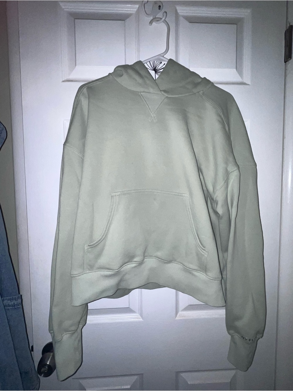 Offline aerie Cloud Fleece Classic Hoodie Light Sage Green Large